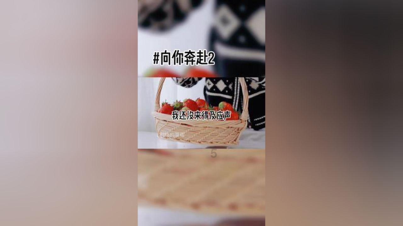 疯狂的聚会
