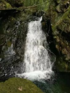 采暖散热器采暖水流回流怎么办
