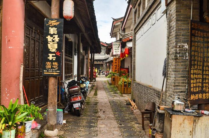 枇杷地里迎来400多户“新客人”